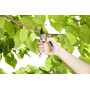 Секатор Gardena Comfort B/L обвідний, алюмінієвий, 25 мм (08906-20.000.00) Секатор Gardena Comfort B/L обвідний, алюмінієвий, 25 мм (08906-20.000.00)