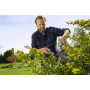 Ножиці для живоплоту Gardena NatureCut (12300-20.000.00) Ножиці для живоплоту Gardena NatureCut (12300-20.000.00)