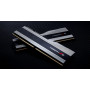 Модуль пам`ятi DDR5 2x16GB/6000 G.Skill Trident Z5 Silver (F5-6000J3040F16GX2-TZ5S)
