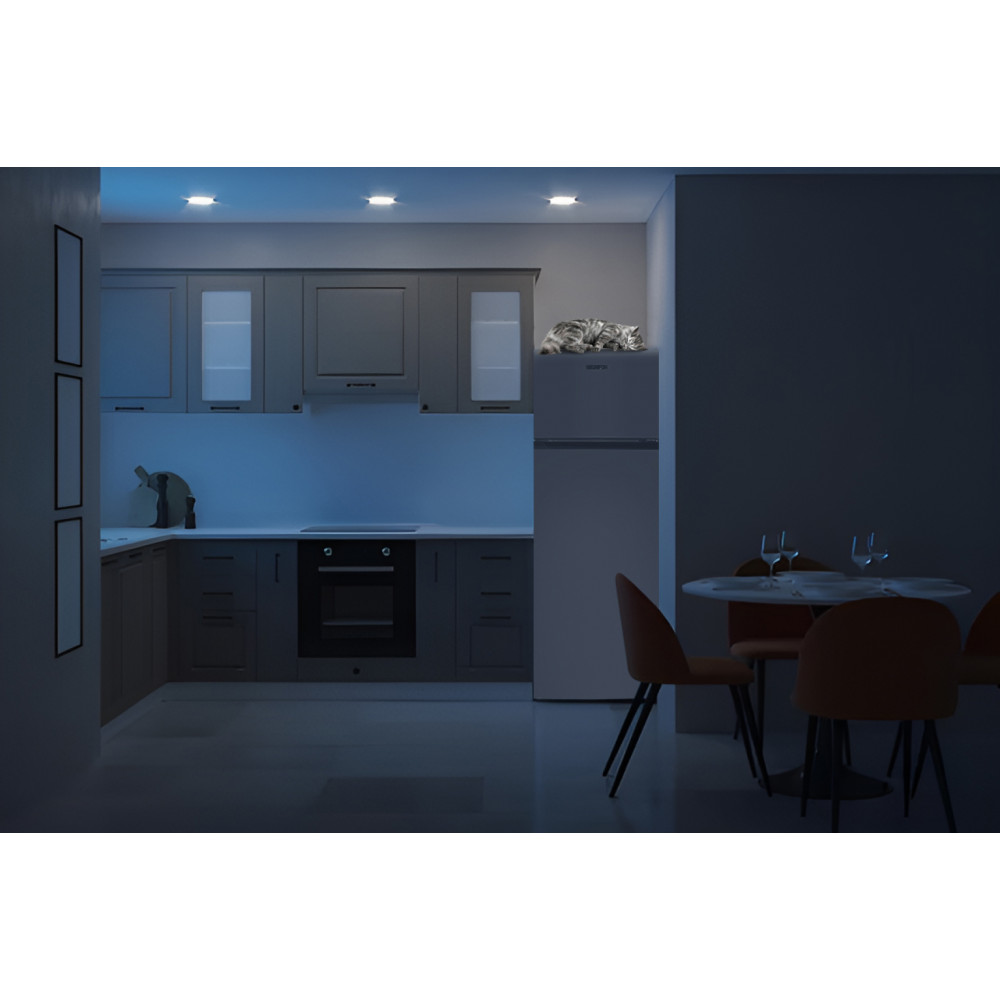 Холодильник Grifon DFV-143S