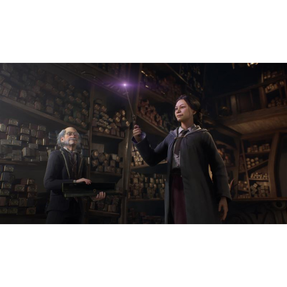 Гра Hogwarts Legacy для PlayStation 5, Russian Subtitles, Blu-Ray диск (5051895413425)