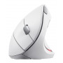 Миша бездротова Trust Verto Ergonomic White (25132) 