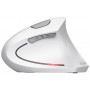 Миша бездротова Trust Verto Ergonomic White (25132) 