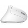 Миша бездротова Trust Verto Ergonomic White (25132) 