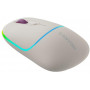 Миша бездротова Canyon MW-22 Dual Band RGB Wireless Rice (CNS-CMSW22RC)