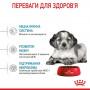 Сухий корм для собак Royal Canin Medium Puppy 1 кг (30030101) Сухий корм для собак Royal Canin Medium Puppy 1 кг (30030101)