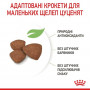 Сухий корм для собак Royal Canin Medium Puppy 1 кг (30030101) Сухий корм для собак Royal Canin Medium Puppy 1 кг (30030101)