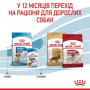 Сухий корм для собак Royal Canin Medium Puppy 1 кг (30030101) Сухий корм для собак Royal Canin Medium Puppy 1 кг (30030101)