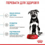 Сухий корм для собак Royal Canin Maxi Puppy 1 кг (30060101) Сухий корм для собак Royal Canin Maxi Puppy 1 кг (30060101)