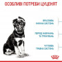 Сухий корм для собак Royal Canin Maxi Puppy 1 кг (30060101) Сухий корм для собак Royal Canin Maxi Puppy 1 кг (30060101)