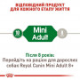 Сухий корм для собак Royal Canin Mini Adult 2 кг (3001020) Сухий корм для собак Royal Canin Mini Adult 2 кг (3001020)