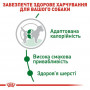Сухий корм для собак Royal Canin Mini Adult 2 кг (3001020) Сухий корм для собак Royal Canin Mini Adult 2 кг (3001020)