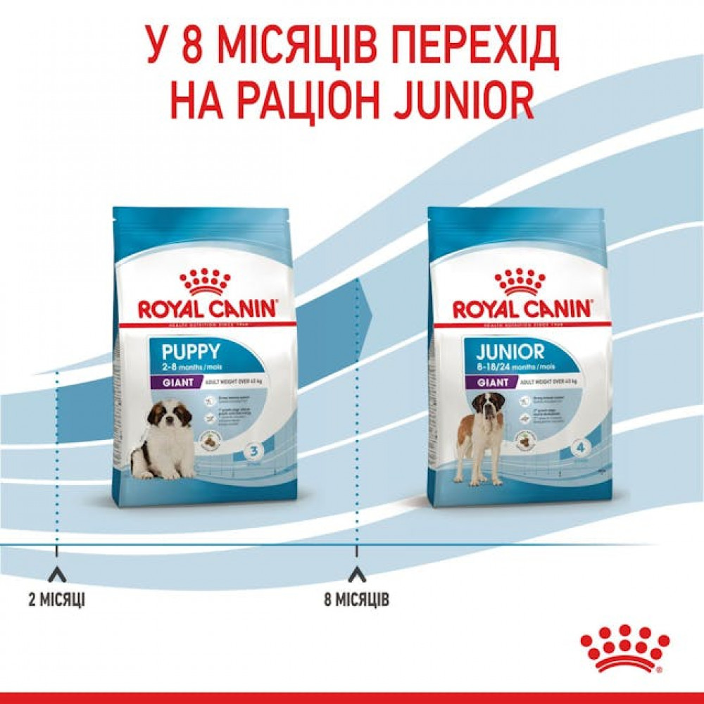 Сухий корм для собак Royal Canin Giant Puppy 1 кг (3030010)