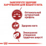 Сухий корм для домашніх та вуличних кішок Royal Canin Fit 400 г (2520004) Сухий корм для домашніх та вуличних кішок Royal Canin Fit 400 г (2520004)