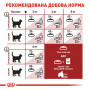 Сухий корм для домашніх та вуличних кішок Royal Canin Fit 400 г (2520004) Сухий корм для домашніх та вуличних кішок Royal Canin Fit 400 г (2520004)