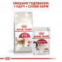 Сухий корм для домашніх та вуличних кішок Royal Canin Fit 400 г (2520004) Сухий корм для домашніх та вуличних кішок Royal Canin Fit 400 г (2520004)