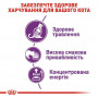 Сухий корм для кішок Royal Canin Sensible 2 кг (2521020) Сухий корм для кішок Royal Canin Sensible 2 кг (2521020)