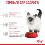 Сухий корм для кошенят Royal Canin Kitten 400 г (25220049)