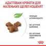 Сухий корм для кошенят Royal Canin Kitten 400 г (25220049)