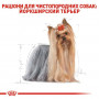 Сухий корм для собак Royal Canin Yorkshire Terrier Adult 500 г (3051005) Сухий корм для собак Royal Canin Yorkshire Terrier Adult 500 г (3051005)