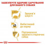 Сухий корм для собак Royal Canin Yorkshire Terrier Adult 500 г (3051005) Сухий корм для собак Royal Canin Yorkshire Terrier Adult 500 г (3051005)