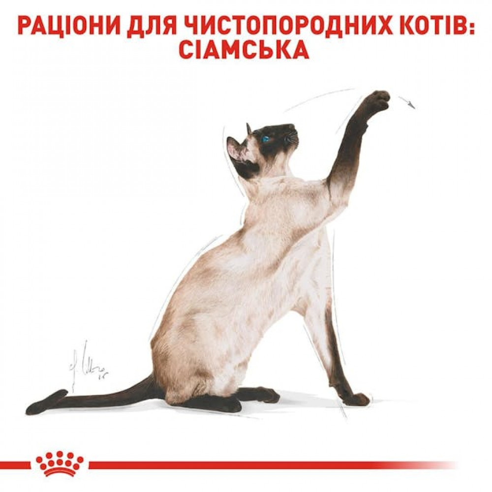 Сухий корм для кішок Royal Canin Siamese Adult 400 г (2551004)