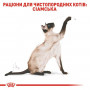 Сухий корм для кішок Royal Canin Siamese Adult 400 г (2551004) Сухий корм для кішок Royal Canin Siamese Adult 400 г (2551004)