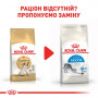Сухий корм для кішок Royal Canin Siamese Adult 400 г (2551004) Сухий корм для кішок Royal Canin Siamese Adult 400 г (2551004)