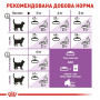 Сухий корм для стерилізованих кішок Royal Canin Sterilised 400 г (2537004) Сухий корм для стерилізованих кішок Royal Canin Sterilised 400 г (2537004)