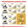 Сухий корм для кішок Royal Canin British Shorthair Adult 400 г (2557004)