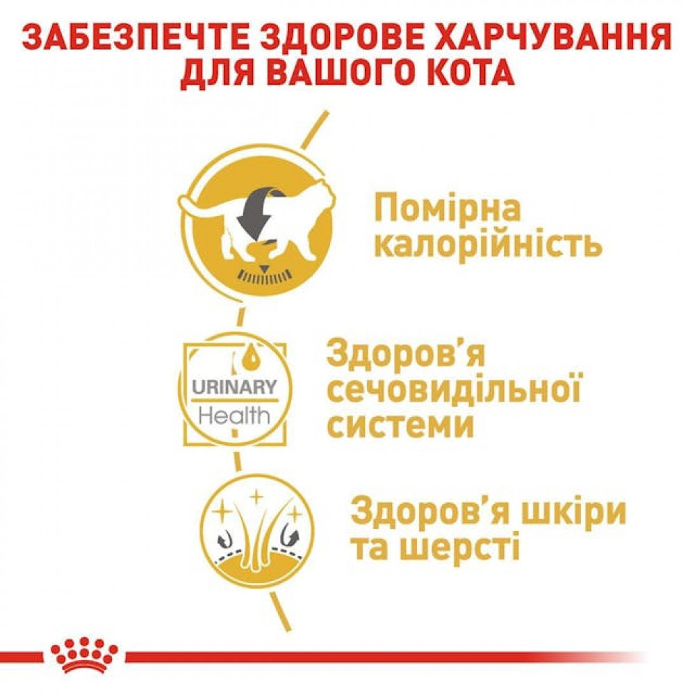 Сухий корм для кішок Royal Canin British Shorthair Adult 400 г (2557004)