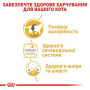 Сухий корм для кішок Royal Canin British Shorthair Adult 400 г (2557004)