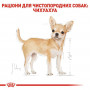 Сухий корм для собак Royal Canin Chihuahua Adult 500 г (2210005) Сухий корм для собак Royal Canin Chihuahua Adult 500 г (2210005)