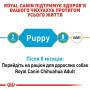 Сухий корм для собак Royal Canin Chihuahua Puppy 500 г (24380051) Сухий корм для собак Royal Canin Chihuahua Puppy 500 г (24380051)