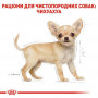 Сухий корм для собак Royal Canin Chihuahua Puppy 500 г (24380051) Сухий корм для собак Royal Canin Chihuahua Puppy 500 г (24380051)