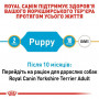 Сухий корм для собак Royal Canin Yorkshire Terrier Puppy 500 г (39720051) Сухий корм для собак Royal Canin Yorkshire Terrier Puppy 500 г (39720051)