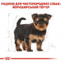 Сухий корм для собак Royal Canin Yorkshire Terrier Puppy 500 г (39720051) Сухий корм для собак Royal Canin Yorkshire Terrier Puppy 500 г (39720051)