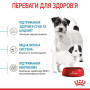 Сухой корм для собак Royal Canin Starter Mother & Babydog - Mini 1 кг (2990010) Сухой корм для собак Royal Canin Starter Mother & Babydog - Mini 1 кг (2990010)