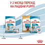 Сухой корм для собак Royal Canin Starter Mother & Babydog - Mini 1 кг (2990010) Сухой корм для собак Royal Canin Starter Mother & Babydog - Mini 1 кг (2990010)