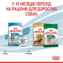 Сухой корм для собак Royal Canin Mini Puppy 800 г (30000082) Сухой корм для собак Royal Canin Mini Puppy 800 г (30000082)