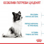 Сухий корм для собак Royal Canin X-small Puppy 500 г (10020051) Сухий корм для собак Royal Canin X-small Puppy 500 г (10020051)