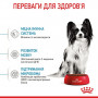 Сухий корм для собак Royal Canin X-small Puppy 500 г (10020051) Сухий корм для собак Royal Canin X-small Puppy 500 г (10020051)