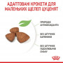 Сухий корм для собак Royal Canin X-small Puppy 500 г (10020051) Сухий корм для собак Royal Canin X-small Puppy 500 г (10020051)