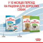 Сухий корм для собак Royal Canin X-small Puppy 500 г (10020051) Сухий корм для собак Royal Canin X-small Puppy 500 г (10020051)