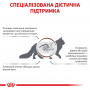 Сухий корм для котів при розладах травлення Royal Canin Gastrointestinal 400 г (39050041) Сухий корм для котів при розладах травлення Royal Canin Gastrointestinal 400 г (39050041)