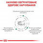 Сухий корм для котів для контролю ваги Royal Canin Satiety Weight Management 400 г (3943004)