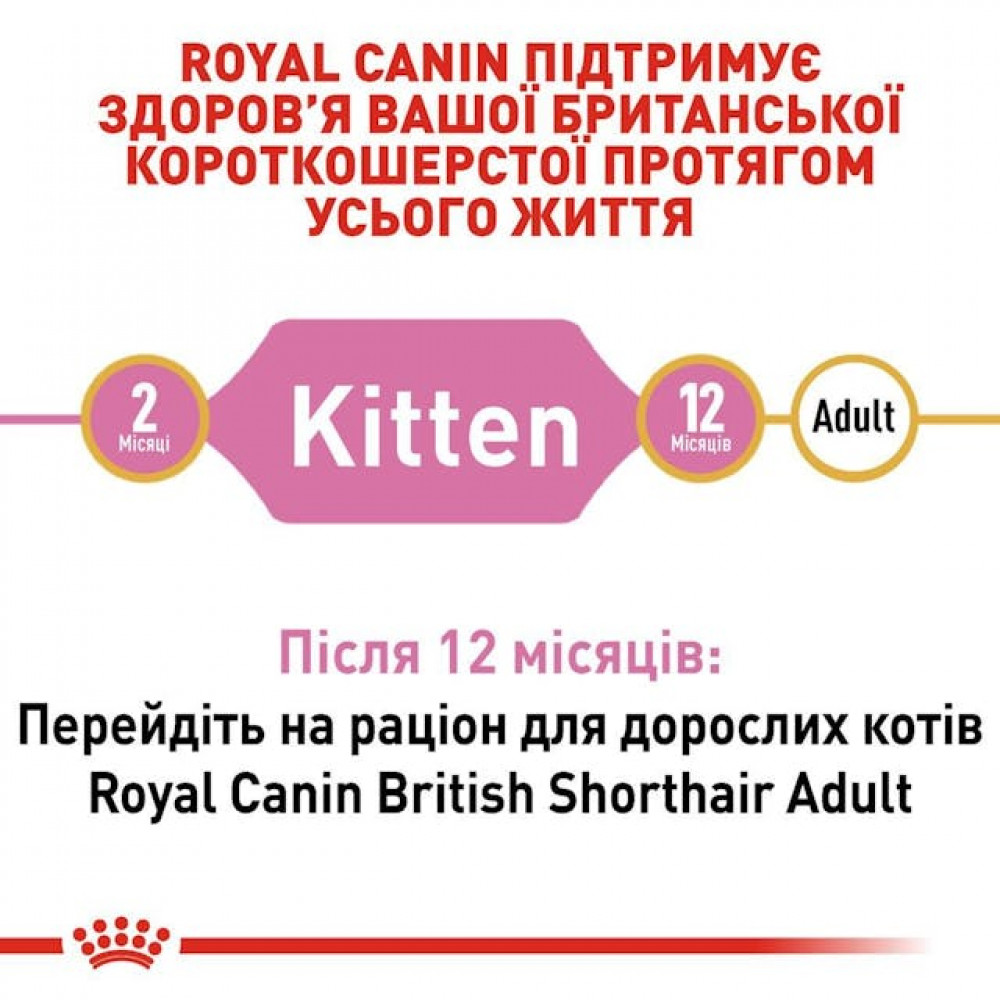 Сухий корм для кошенят Royal Canin British Shorthair Kitten 400 г (2566004)