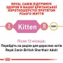 Сухий корм для кошенят Royal Canin British Shorthair Kitten 400 г (2566004)