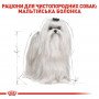 Сухий корм для собак Royal Canin Maltese Adult 500 г (3995005) Сухий корм для собак Royal Canin Maltese Adult 500 г (3995005)