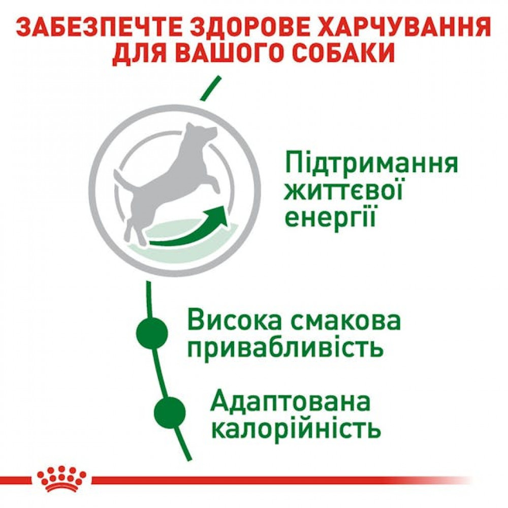 Сухий корм для собак Royal Canin Mini Adult 8+ 800 г (30020089)